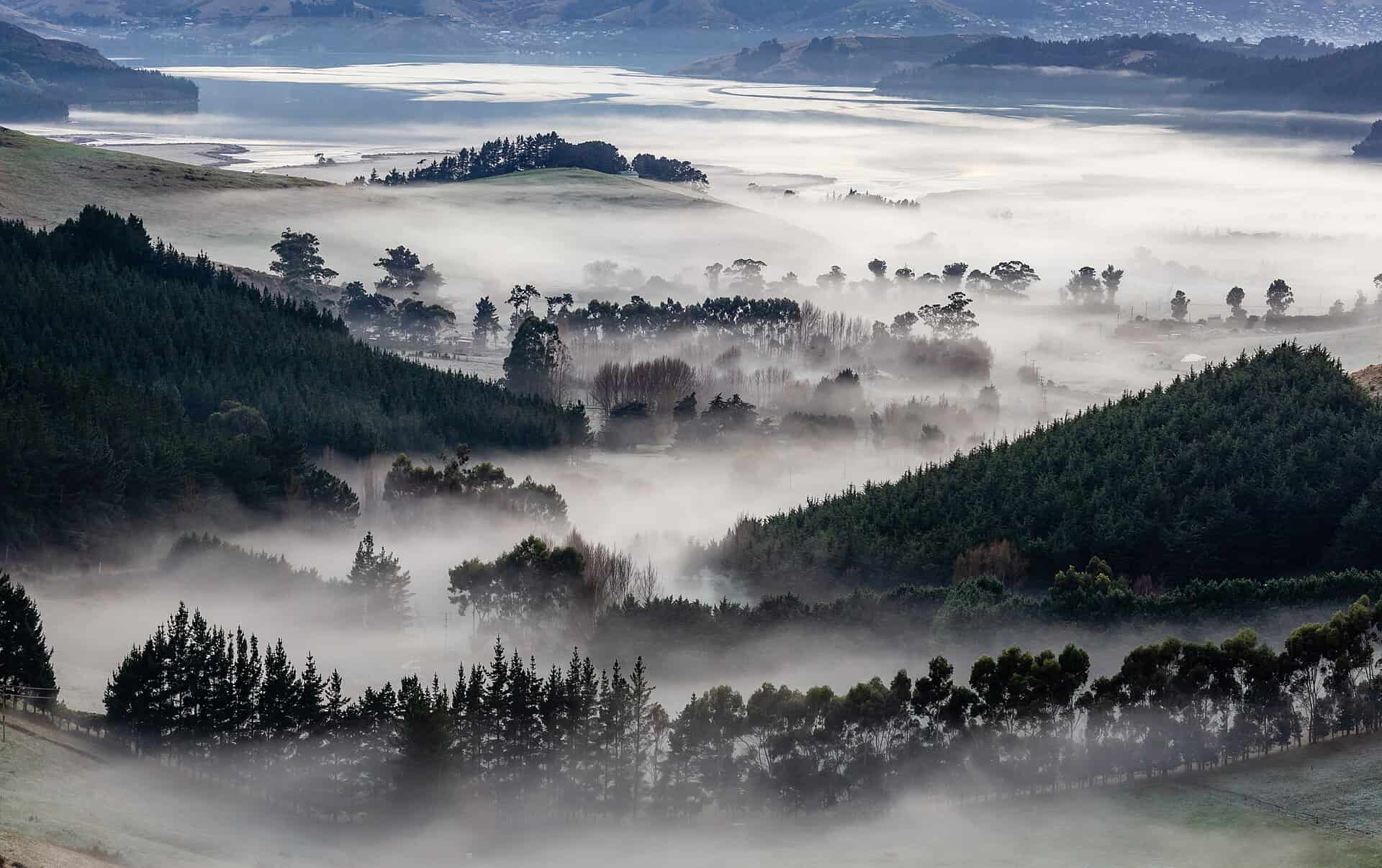 New Zealand backdrop