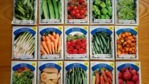 Superfoods Ranked by Nutrient Density: CDC Data vs the $180B Hype